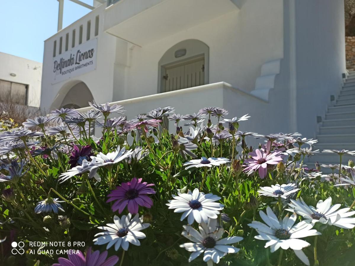 Villa Delfinaki Lionas Esterno foto