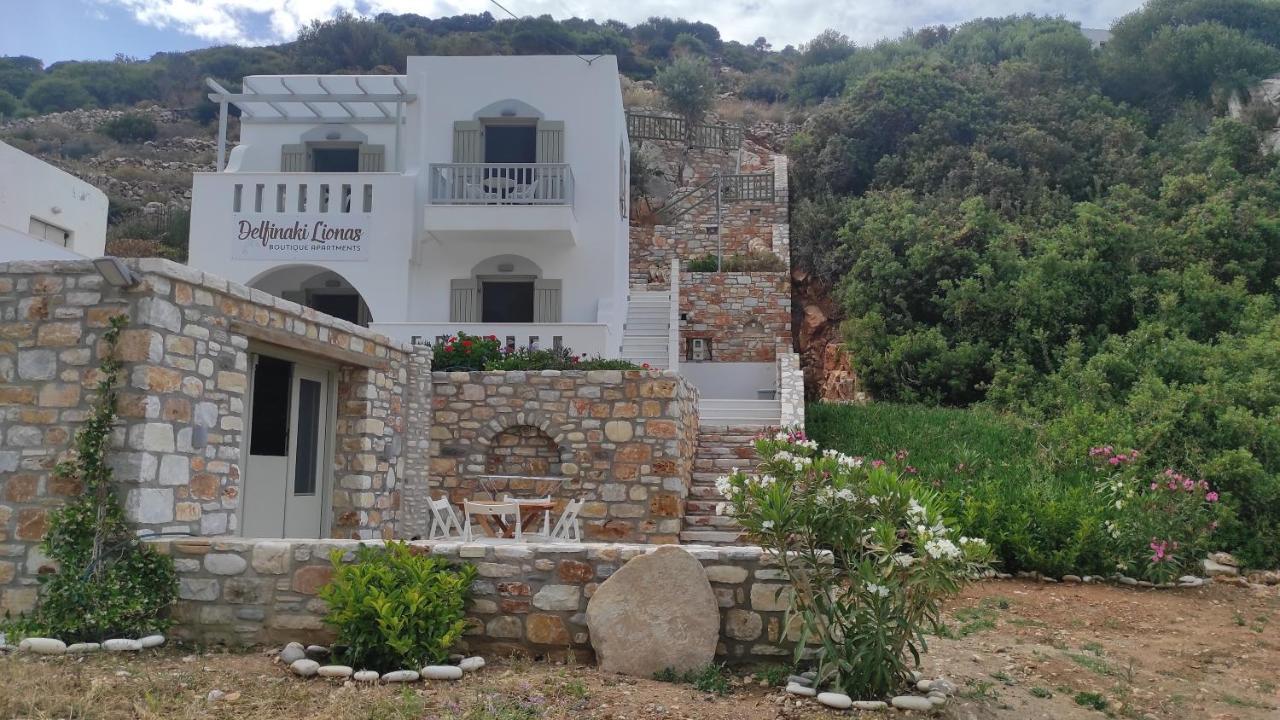Villa Delfinaki Lionas Esterno foto